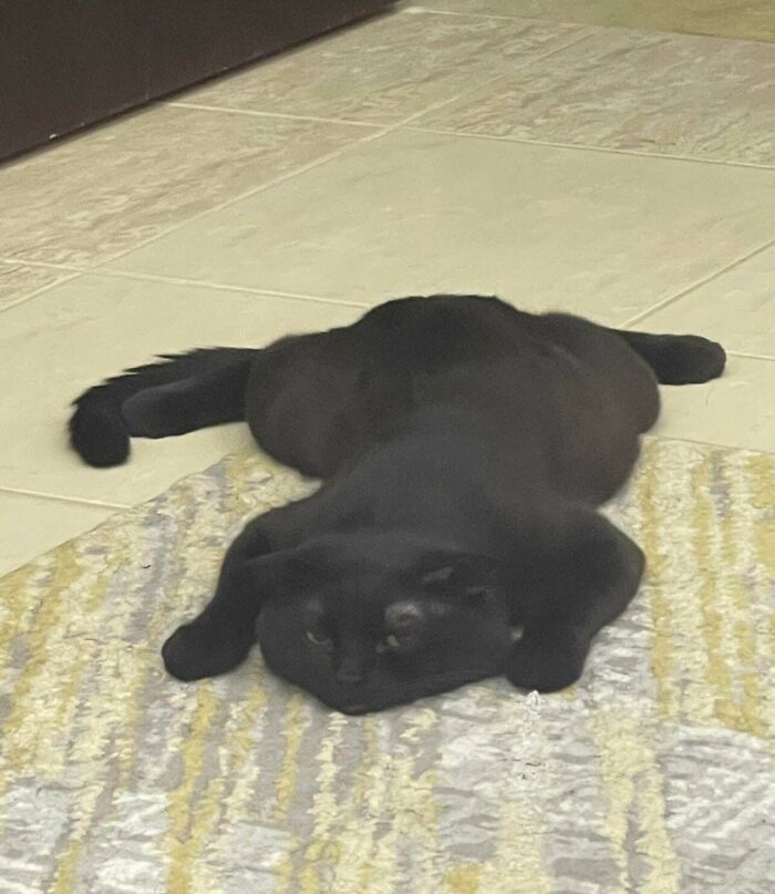 Tried To Assemble It But It Just Melted Into The Floor! Halp!