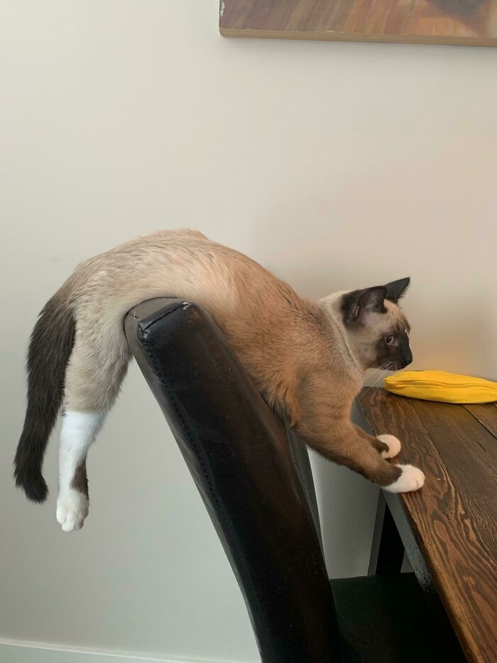 This Is Officially His Favorite Spot