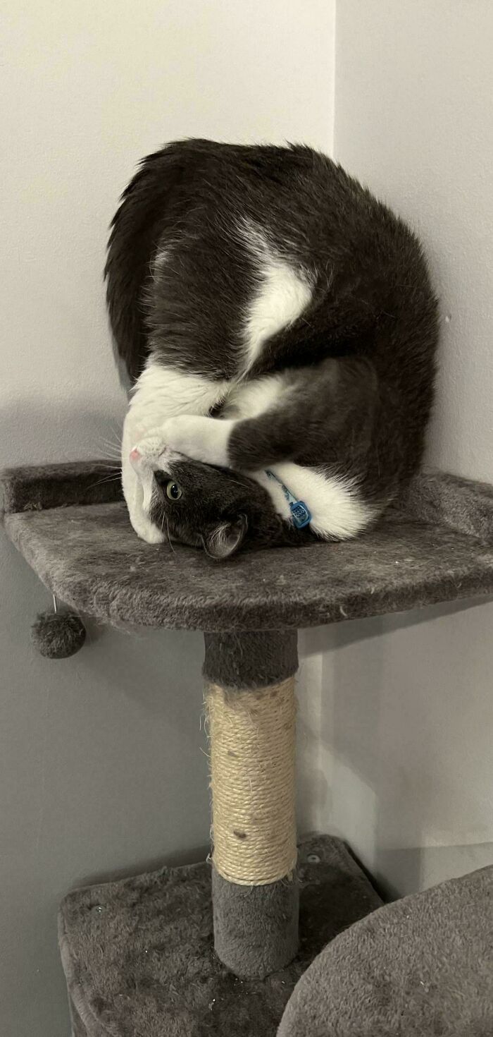 My Lenny Is Totally Upside Down Here