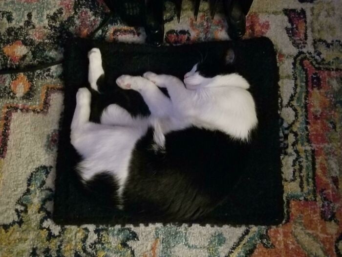 Oops! His Foot Fell Off Again!