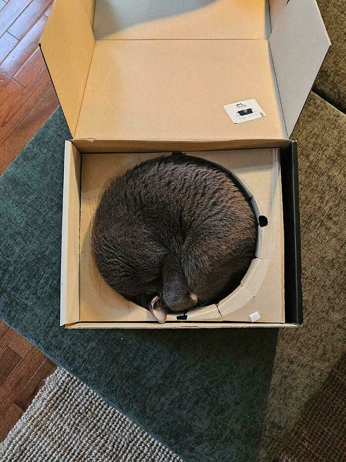 Unboxing Adventure! (Or Something Like It)