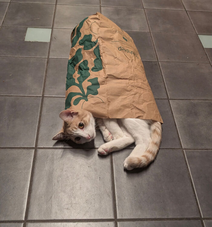 All I Got Was A Bag of Spare Parts