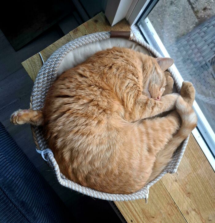 Wait, Which Leg Is It Again?