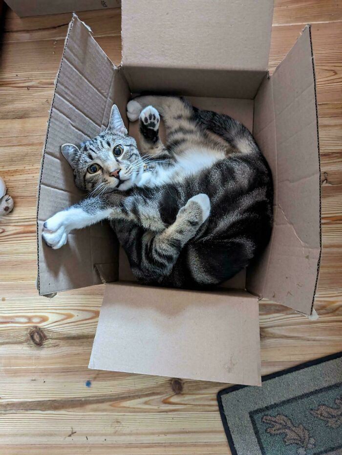 Assembly Instructions? Yeah, Not So Clear