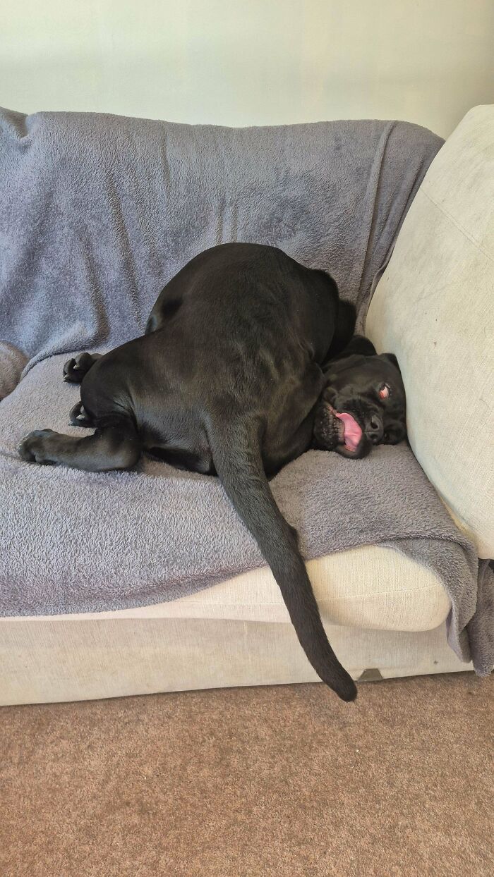 We Totally Gave Up Eventually