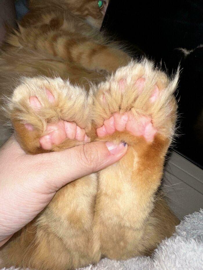 Backwards Multi-Beans, What Is Even Happening?