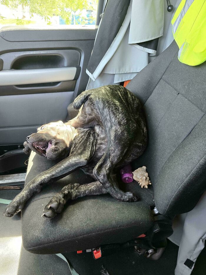 Not Quite Sure What Happened Here