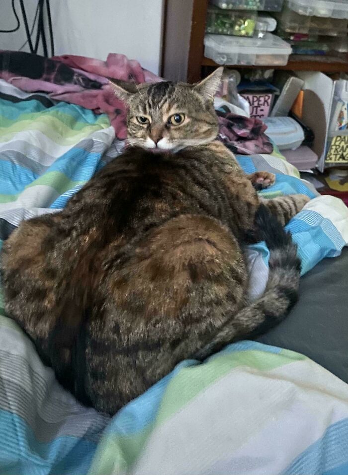 I Think I Put Her Head On Backwards…