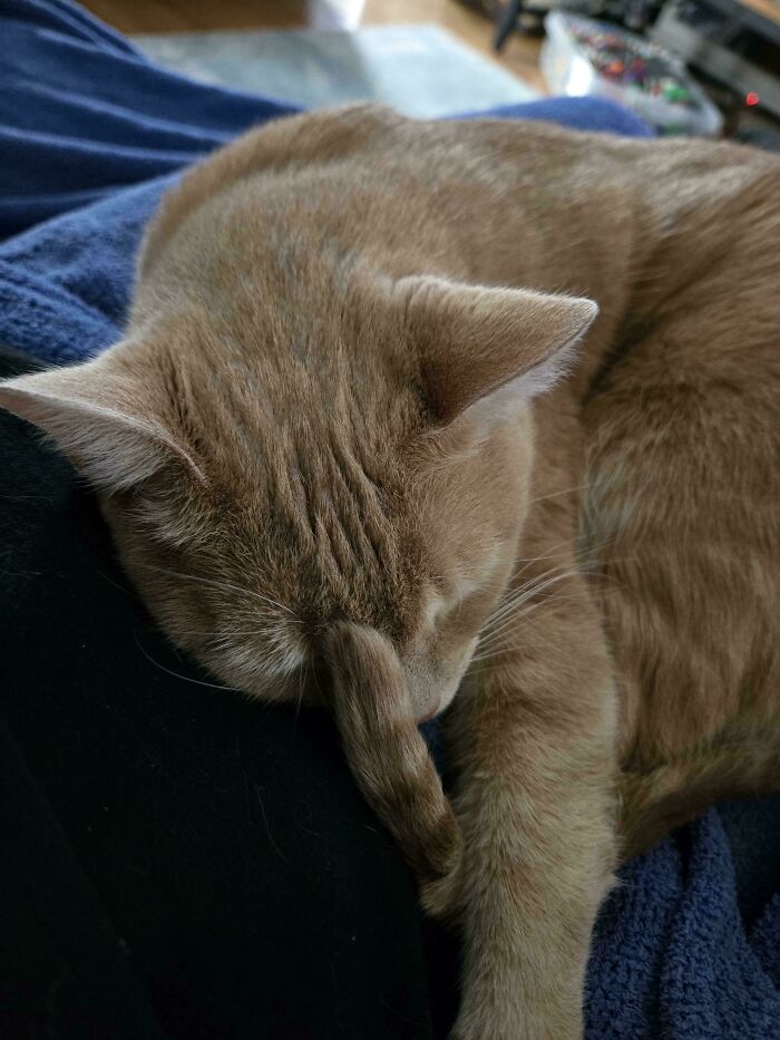 Tail’s On Backwards!