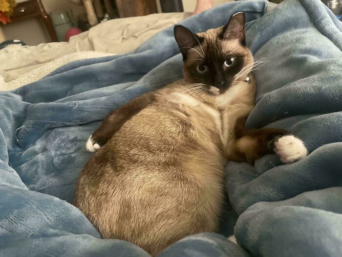 Beans Is Beauty and Grace... But Limbs Are Kinda Wrong