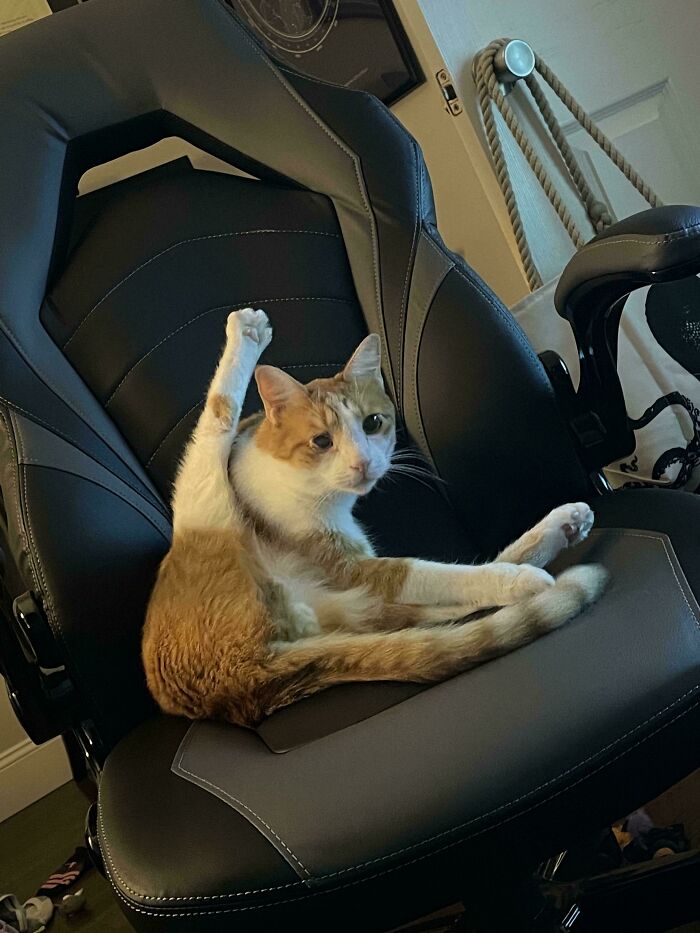 Instructions Unclear: Leg On Upside Down? Customer Support Is Zero Help