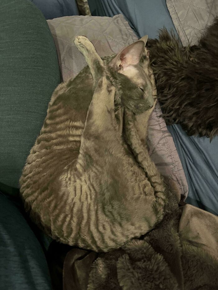 Uh... I Need To Read The Directions Again
