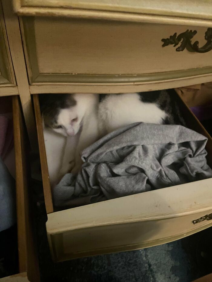 Bought This Laundry Organizer, And It Attacked Me??