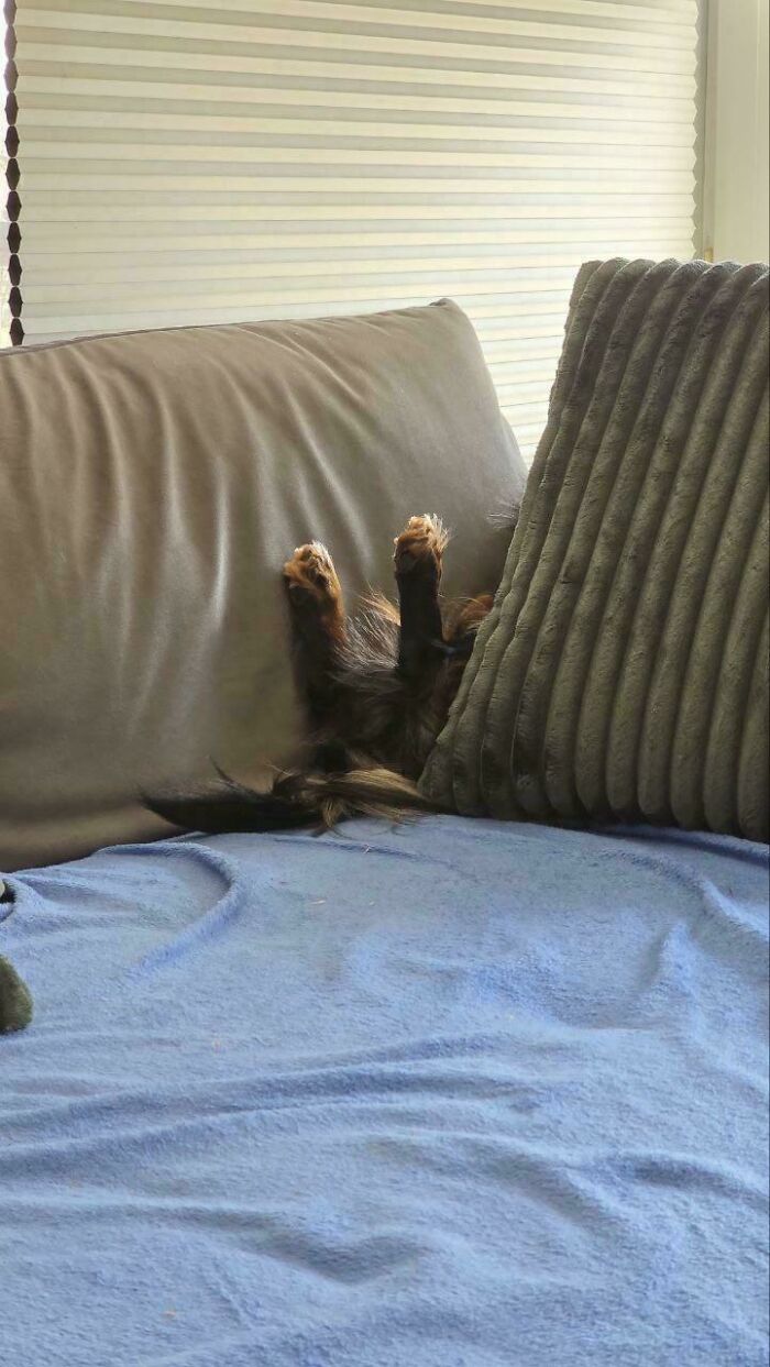 My Husband Sent This; Should I Help Or Let Him Figuring It Out?