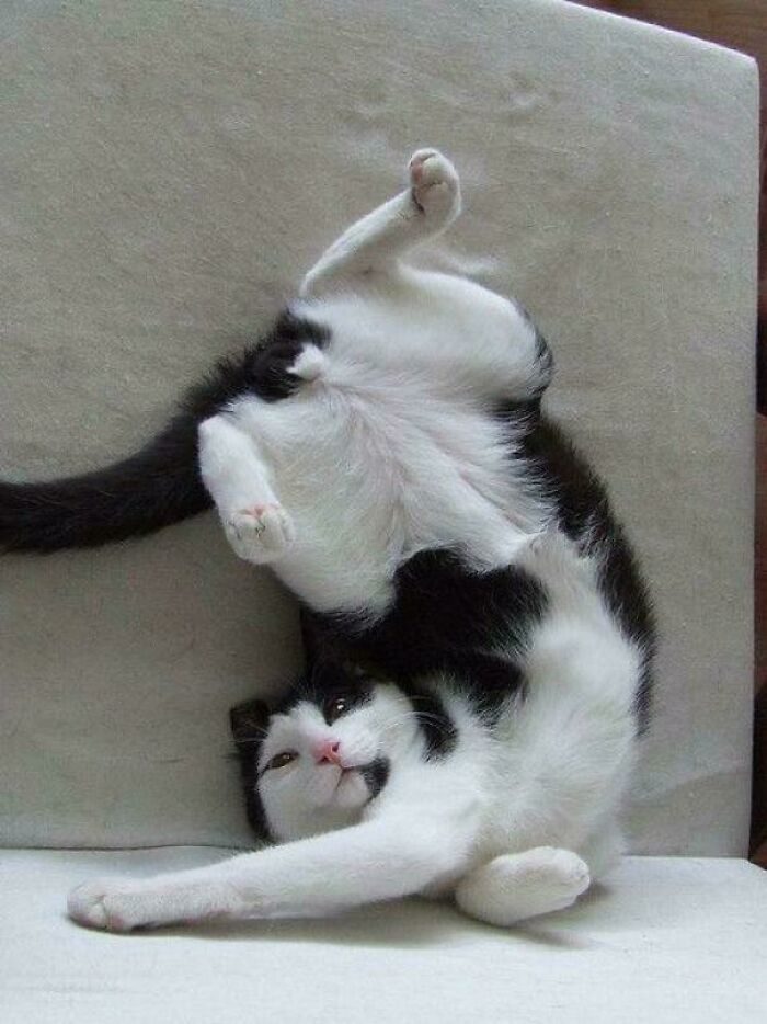 Think This One Is Defective. How Do I Assemble?