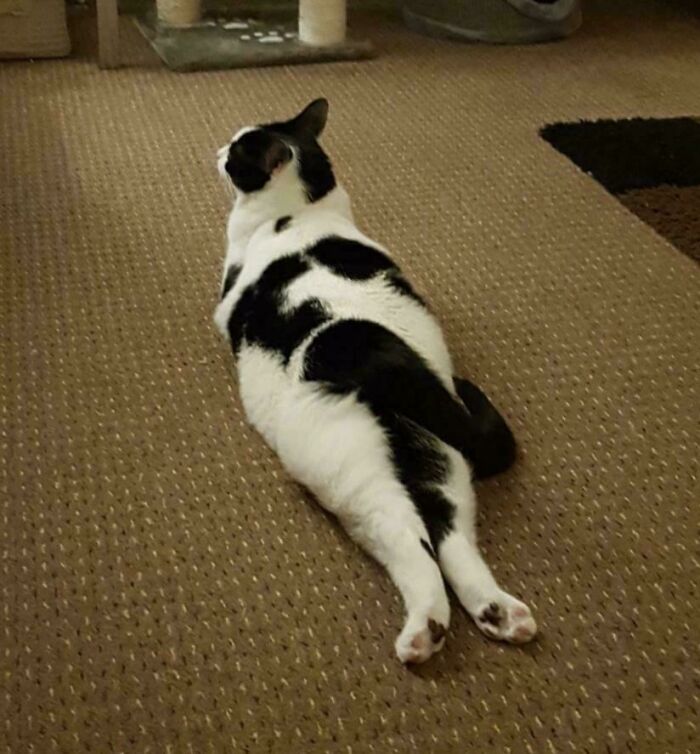Casper’s Default Mode: What Is Even Going On