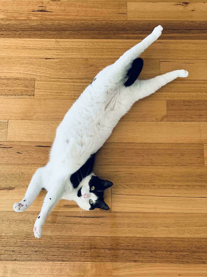 Way Longer Than Expected, Won’t Fit In The Space