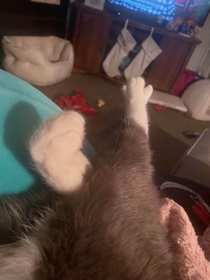 Defect? Toe Beans Keep Spreading When Leg Stretches