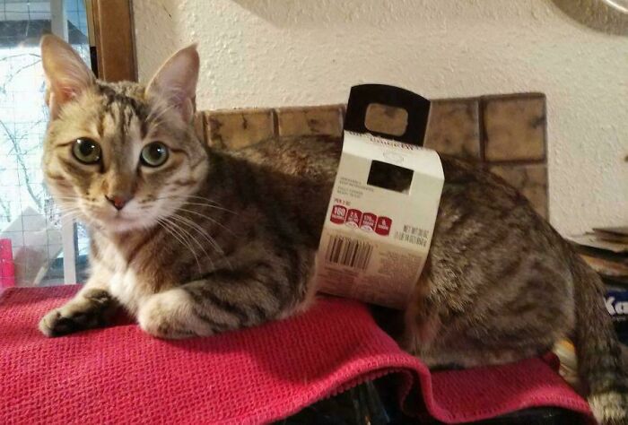 Permanently Stuck In The Packaging!