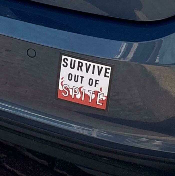 Survive Out Of Spite
