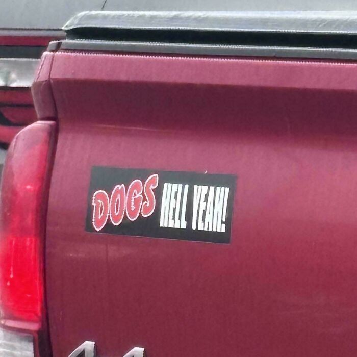 Wait, They Actually Put That On Their Car?! 35 Bumper Stickers That Make You Go Huh?