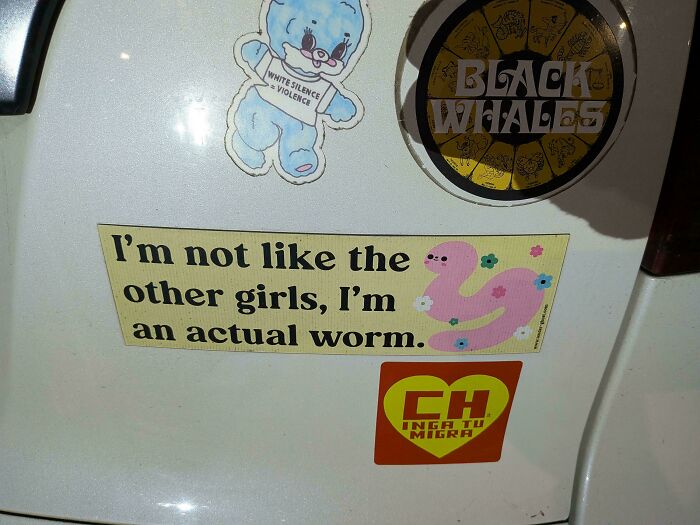 Wait, They Actually Put That On Their Car?! 35 Bumper Stickers That Make You Go Huh?