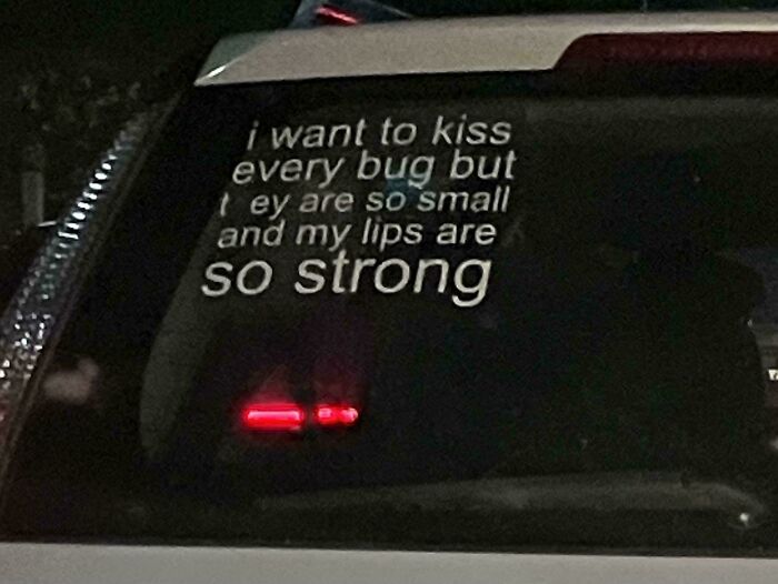 Wait, They Actually Put That On Their Car?! 35 Bumper Stickers That Make You Go Huh?