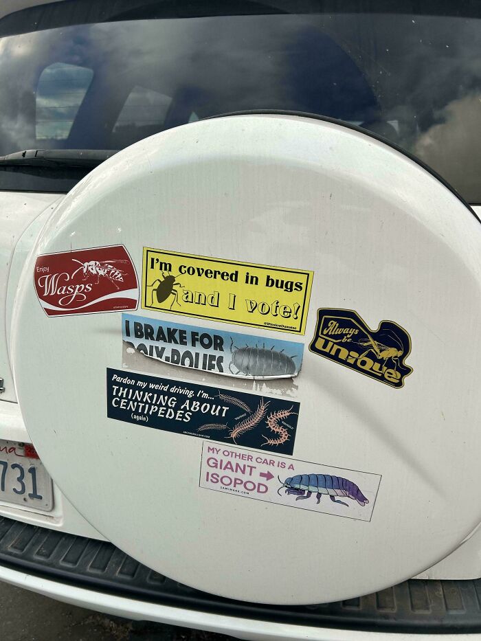 Wait, They Actually Put That On Their Car?! 35 Bumper Stickers That Make You Go Huh?