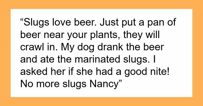 These 80 Epic Grandma & Grandpa Internet Fails Will Make You Giggle