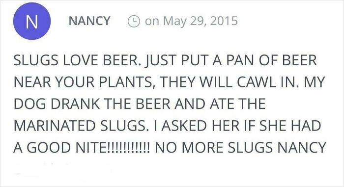 Thanks For The Garden Tips, Nancy!
