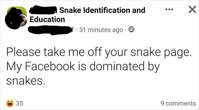 Snakes? They’ve Got This Covered