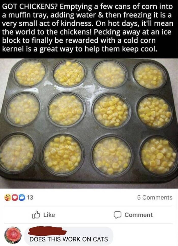 Grandma’s Very Important Question