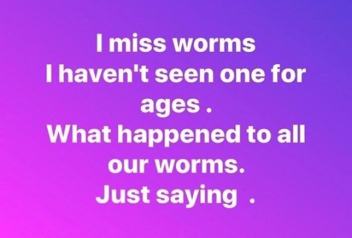 Where Are The Worms?
