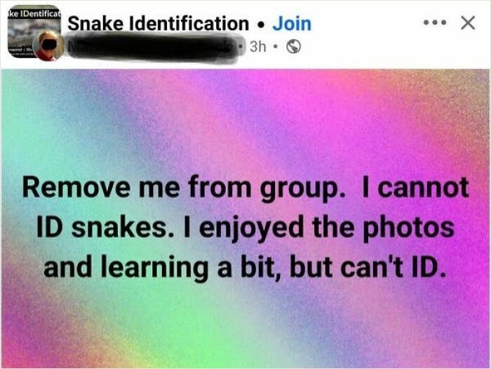 Grandma’s Brutally Honest Opinion
