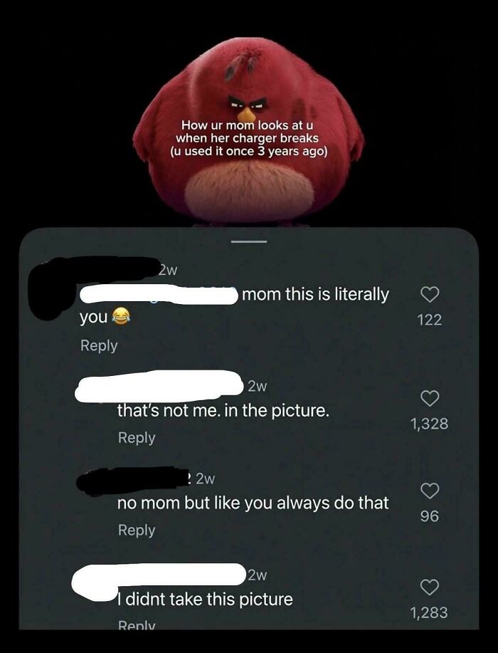 I Didn’t Take This Picture!
