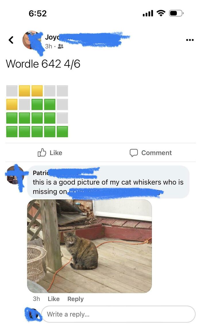Grandma Mistakes Wordle For Lost Cat Ad