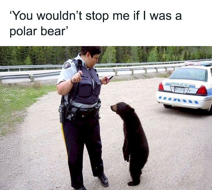 Brace Yourself: 82 Memes That Are Straight-Up Bizarre (In The Best Way)