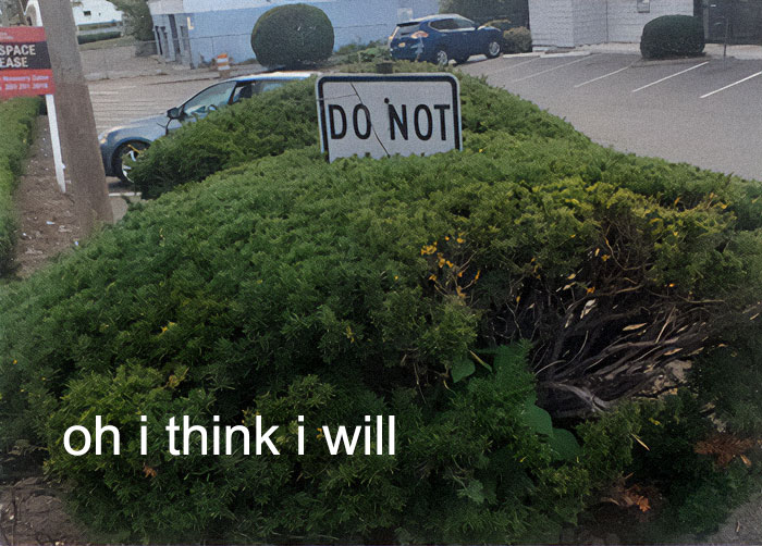 Brace Yourself: 82 Memes That Are Straight-Up Bizarre (In The Best Way)