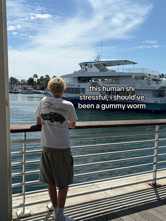Brace Yourself: 82 Memes That Are Straight-Up Bizarre (In The Best Way)
