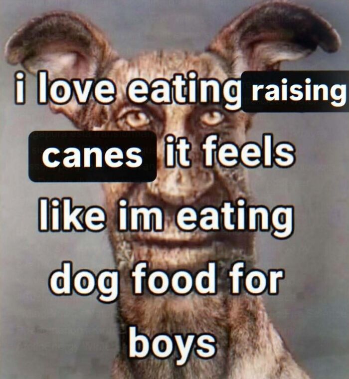 Brace Yourself: 82 Memes That Are Straight-Up Bizarre (In The Best Way)