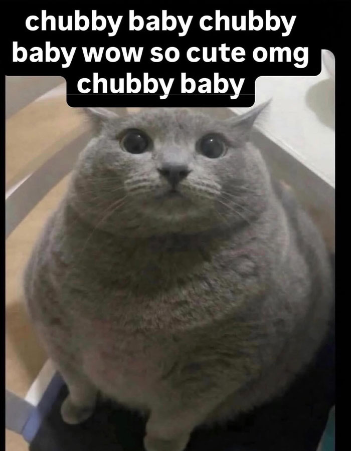 Brace Yourself: 82 Memes That Are Straight-Up Bizarre (In The Best Way)