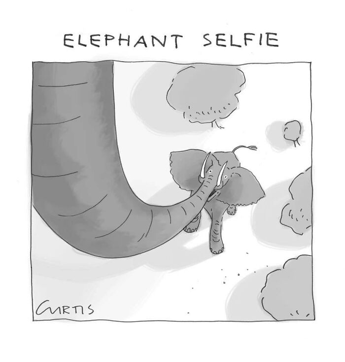 50 One-Panel Comics By Kate Curtis That Nail Everyday Life (Prepare to LOL)