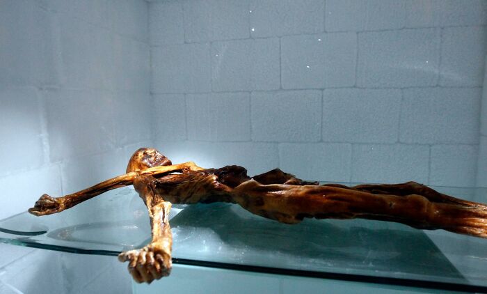 Ötzi The Iceman: Ancient Dude With A Mysterious ‘Curse’?
