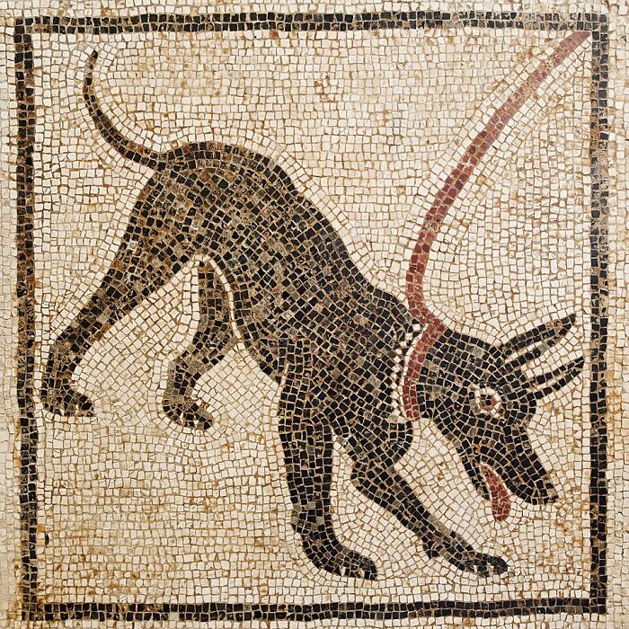 Pompeii’s Famous ‘Beware of Dog’ Mosaic Is NOT The Curse — It’s The Souvenirs!