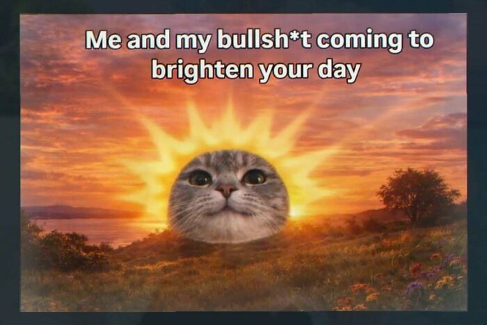 Wait, They Actually Ranked These Hilariously Weird Memes?