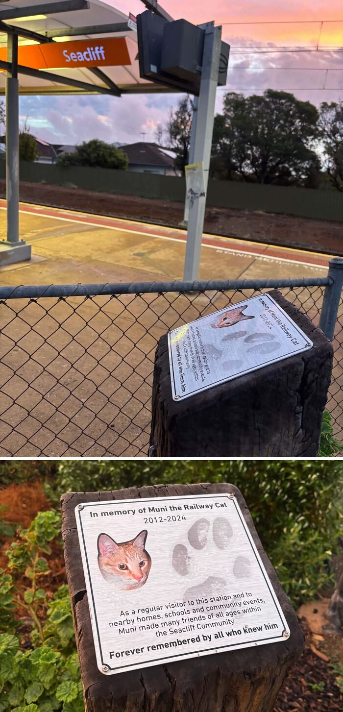 A Train Station That Built A Shrine... For A Cat!