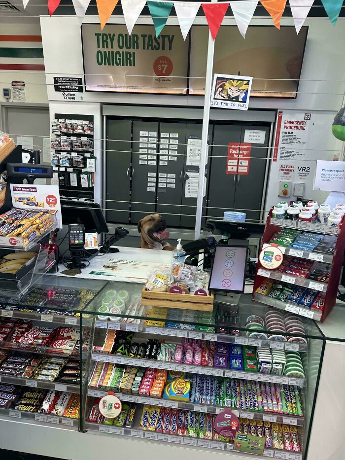 New 7/11 Cashier Looked Like They Were Winning At Life Today