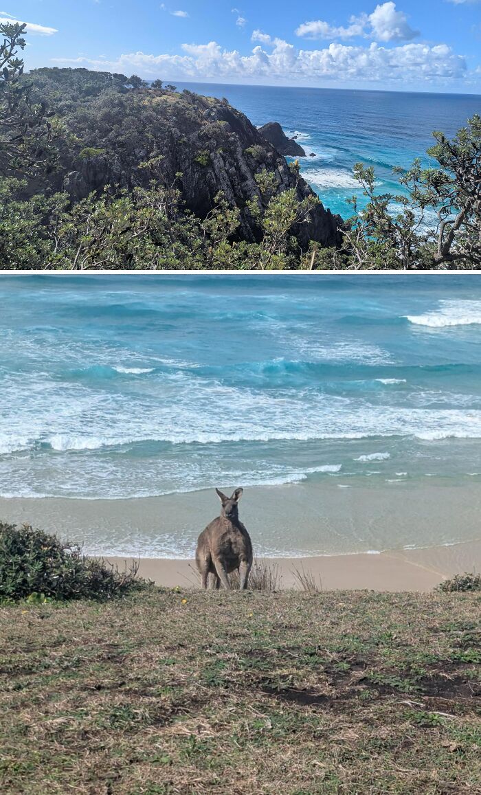 This Spot Called Hat Head, NSW Looks Like A Dream