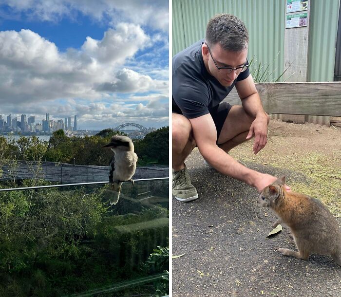 First Time In Australia And Already Blown Away