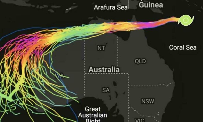 Who Else Is Bracing For The Category 5 Cyclone?
